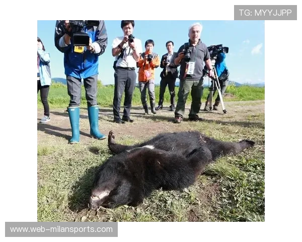 黑熊袭人悲剧，动物管控需反思，黑熊袭击村民致3人死亡